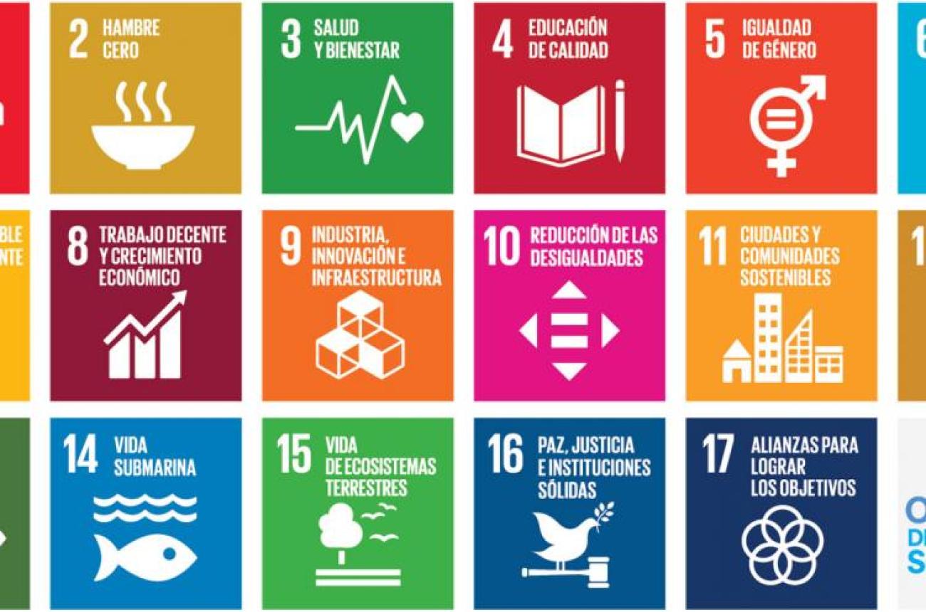 Transformar nuestro mundo y cumplir los ODS es tarea de todos