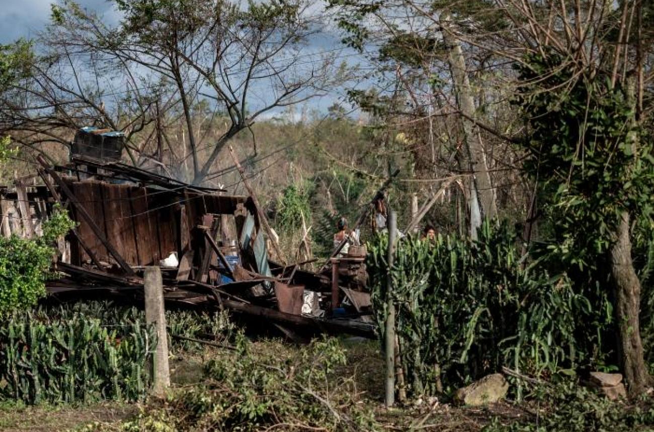 Después de perderlo casi todo, aferrarse al «casi» es lo único que queda para seguir adelante. Foto: Nieves Molina