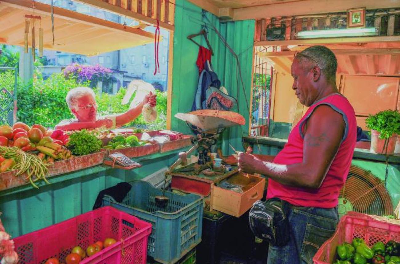 El Programa concibe la actualización de los mecanismos de contratación y acopio de los productos agropecuarios. Foto: José Manuel Correa