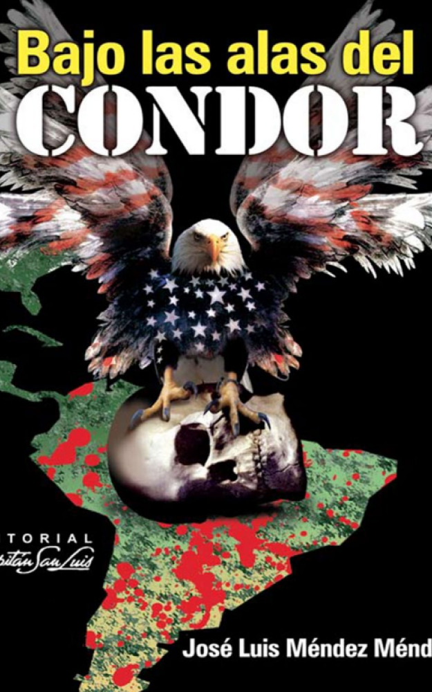 Bajo las alas del cóndor