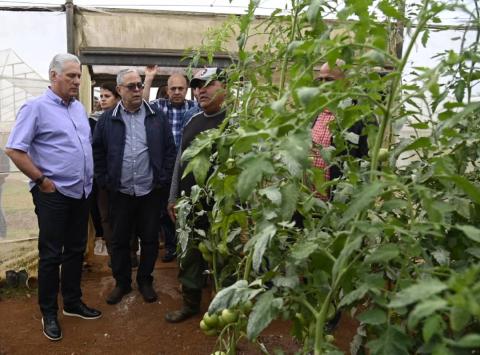 DC en área productiva Las Guásimas DC en área productiva Las Guásimas