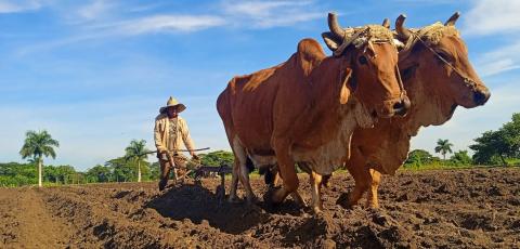 Los resultados en los sectores productivos fueron decisivos para que Sancti Spíritus mereciera ser la sede central por el aniversario 71 de los asaltos a los cuarteles de Santiago de Cuba y Bayamo. Los resultados en los sectores productivos fueron decisivos para que Sancti Spíritus mereciera ser la sede central por el aniversario 71 de los asaltos a los cuarteles de Santiago de Cuba y Bayamo.