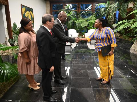 Nuevos embajadores presentaron cartas credenciales en Cuba Nuevos embajadores presentaron cartas credenciales en Cuba