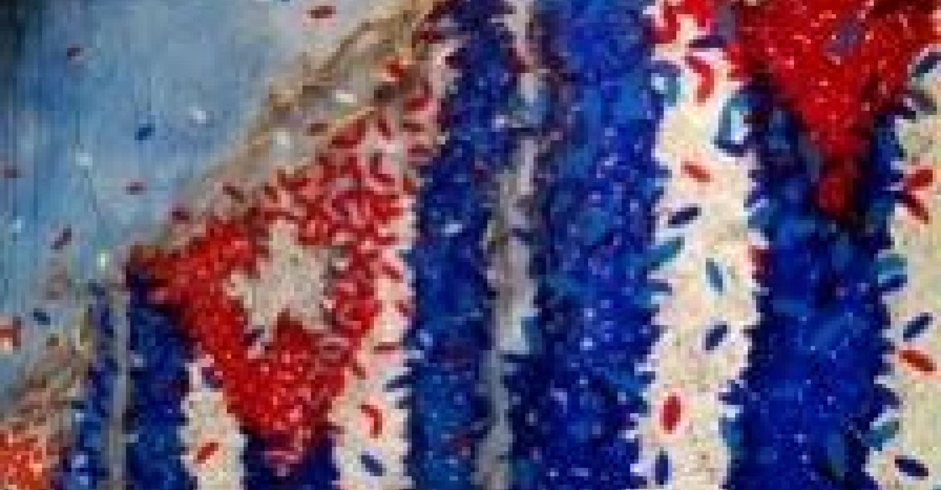 Foto: Obra de la serie Banderas, de Michel Mirabal