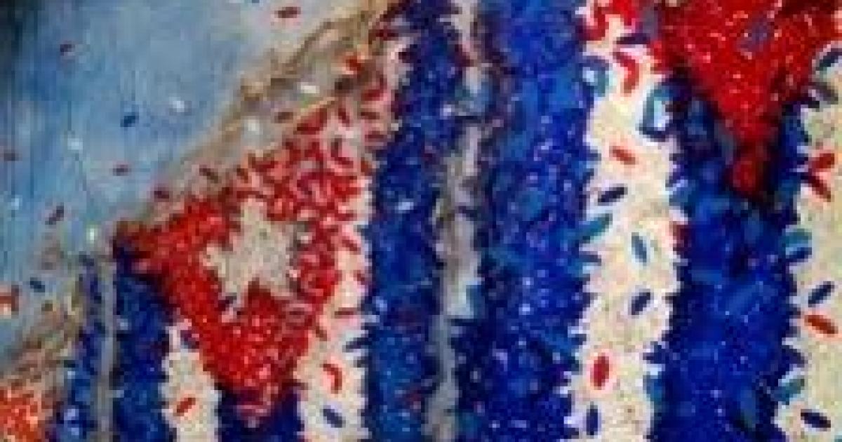 Foto: Obra de la serie Banderas, de Michel Mirabal